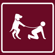Human on Dog Leash Tee