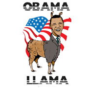 Obama Llama T Shirt