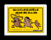 MEXICAN BORDER JUMPING BEANS 
