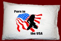PORN IN THE USA PILLOW CASE