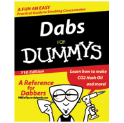 dabs for dummies sticker
